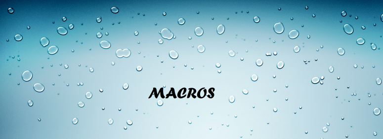 macros 2.png